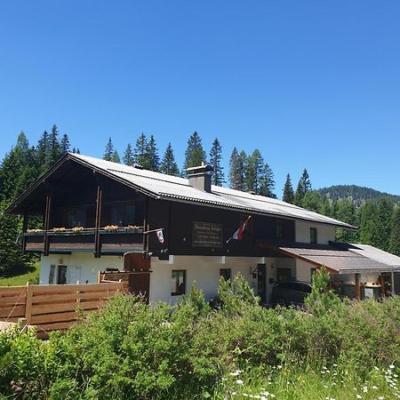 Ferienhaus Schaefer - Apartments - Wintersports - Family Holiday - Holiday With Your Dog - Rural & Scenic Flattnitz Εξωτερικό φωτογραφία