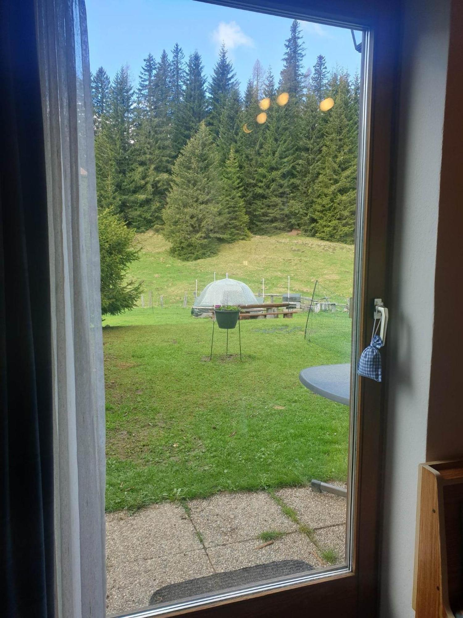 Ferienhaus Schaefer - Apartments - Wintersports - Family Holiday - Holiday With Your Dog - Rural & Scenic Flattnitz Εξωτερικό φωτογραφία
