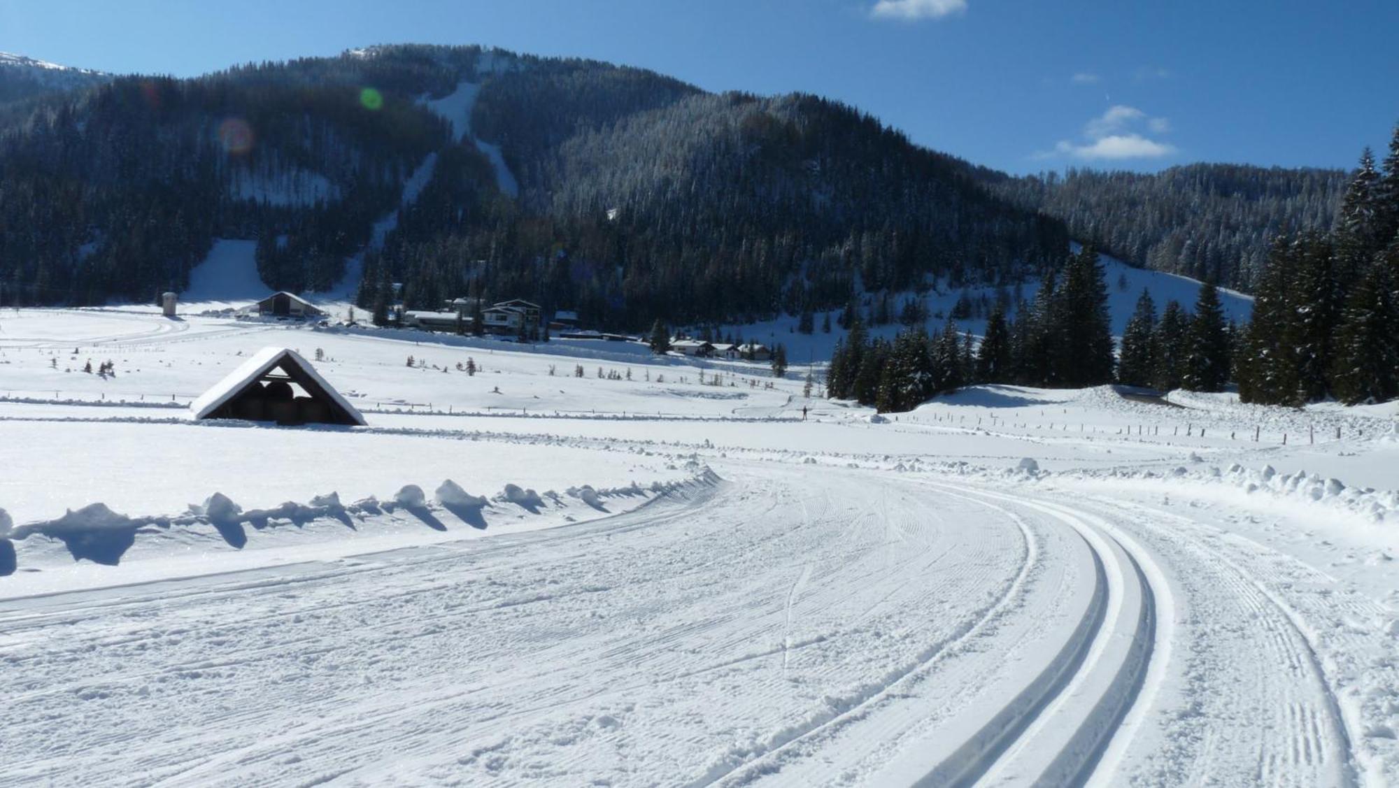 Ferienhaus Schaefer - Apartments - Wintersports - Family Holiday - Holiday With Your Dog - Rural & Scenic Flattnitz Εξωτερικό φωτογραφία