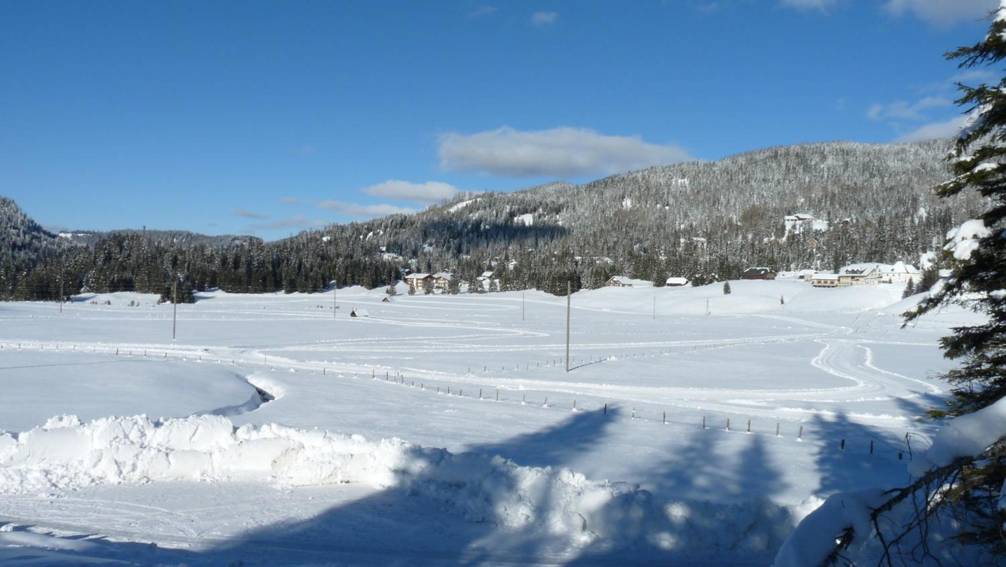 Ferienhaus Schaefer - Apartments - Wintersports - Family Holiday - Holiday With Your Dog - Rural & Scenic Flattnitz Εξωτερικό φωτογραφία