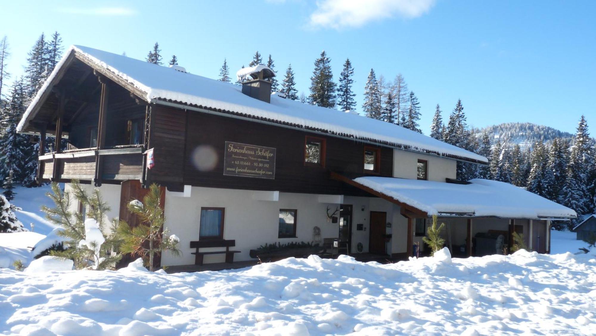 Ferienhaus Schaefer - Apartments - Wintersports - Family Holiday - Holiday With Your Dog - Rural & Scenic Flattnitz Εξωτερικό φωτογραφία