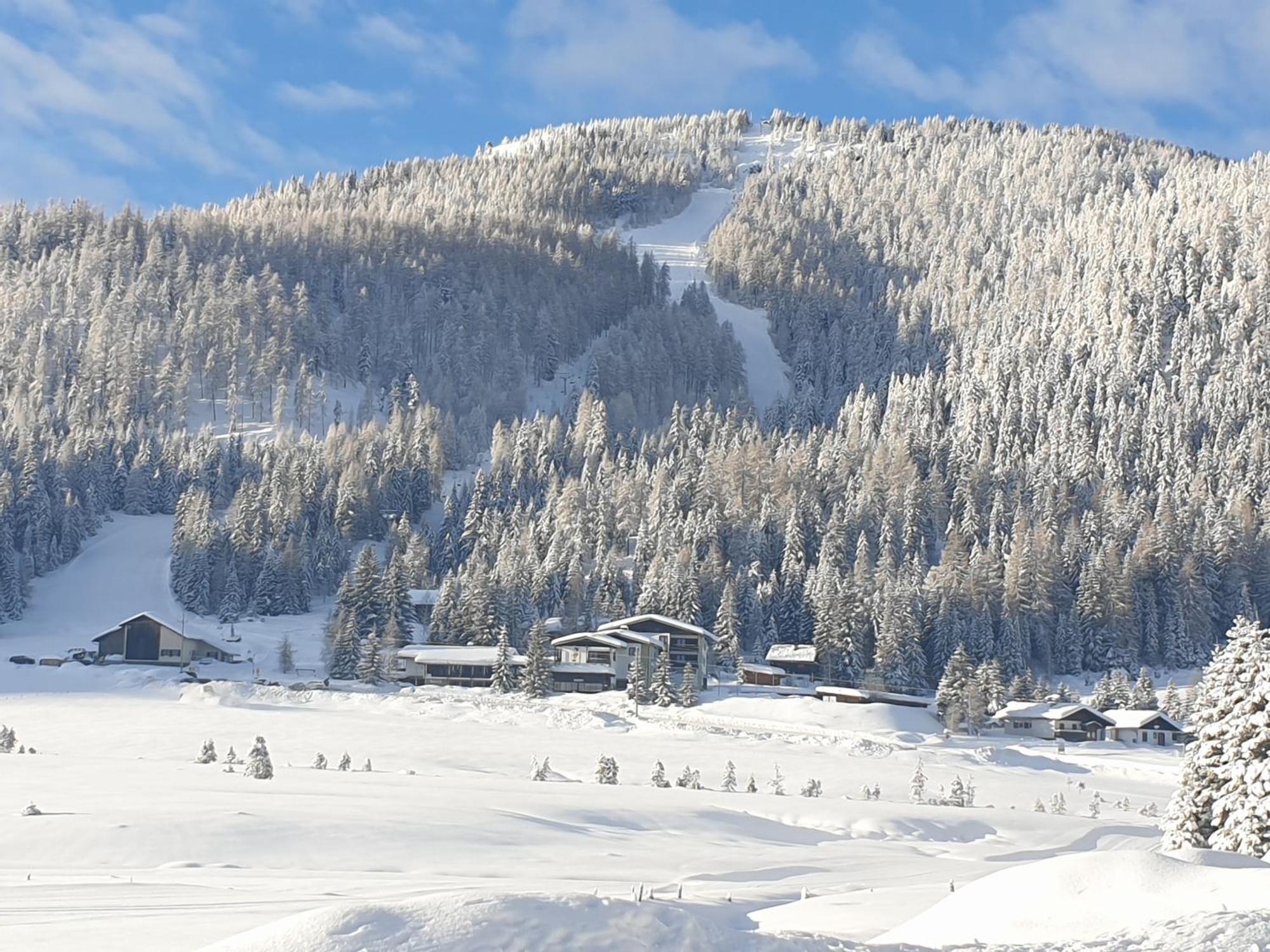 Ferienhaus Schaefer - Apartments - Wintersports - Family Holiday - Holiday With Your Dog - Rural & Scenic Flattnitz Εξωτερικό φωτογραφία