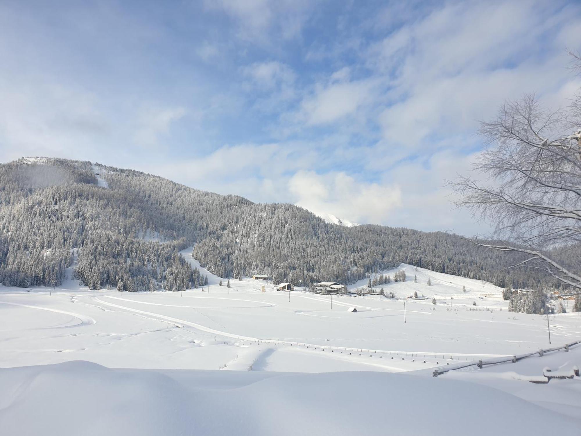 Ferienhaus Schaefer - Apartments - Wintersports - Family Holiday - Holiday With Your Dog - Rural & Scenic Flattnitz Εξωτερικό φωτογραφία