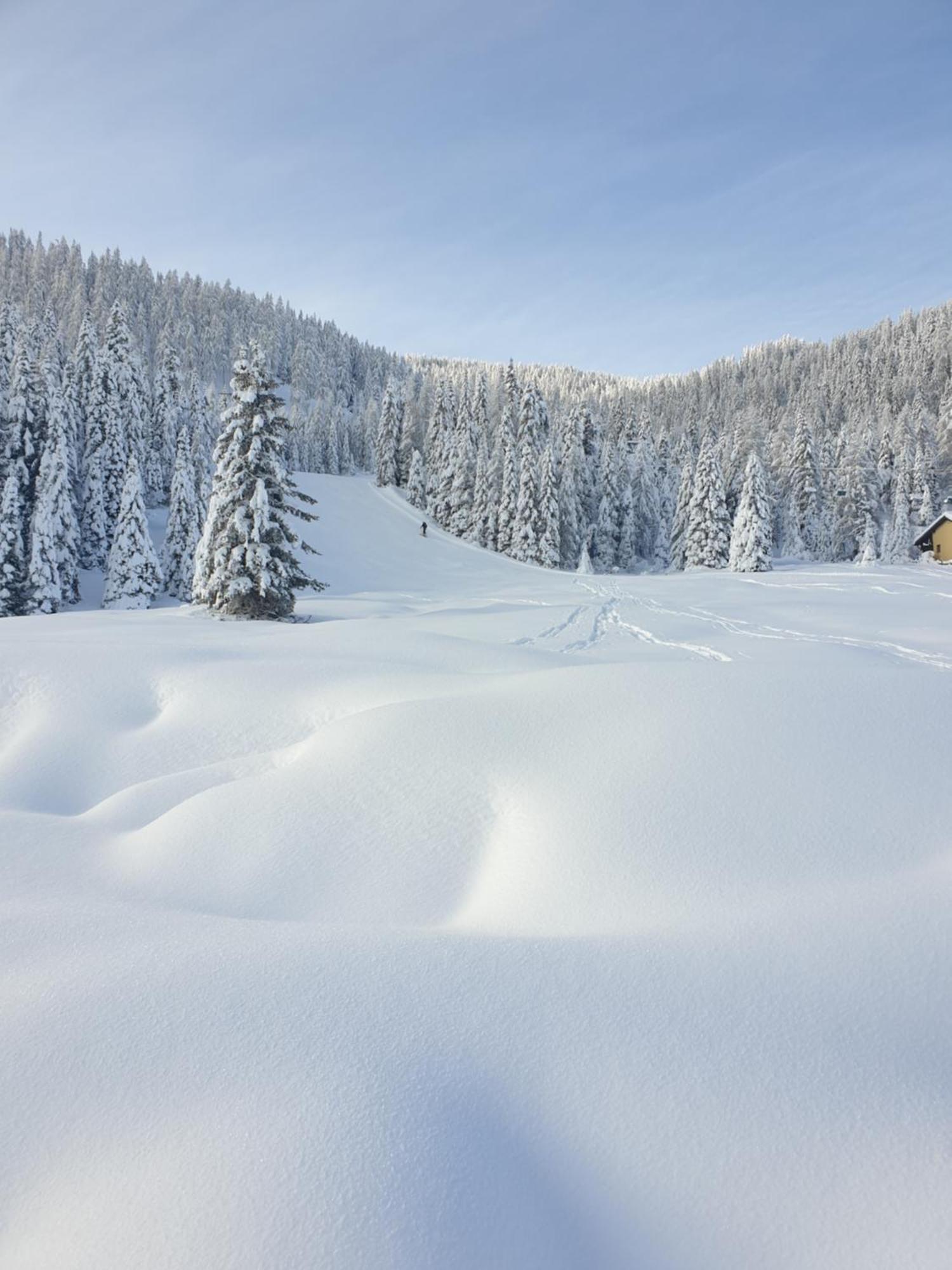 Ferienhaus Schaefer - Apartments - Wintersports - Family Holiday - Holiday With Your Dog - Rural & Scenic Flattnitz Εξωτερικό φωτογραφία