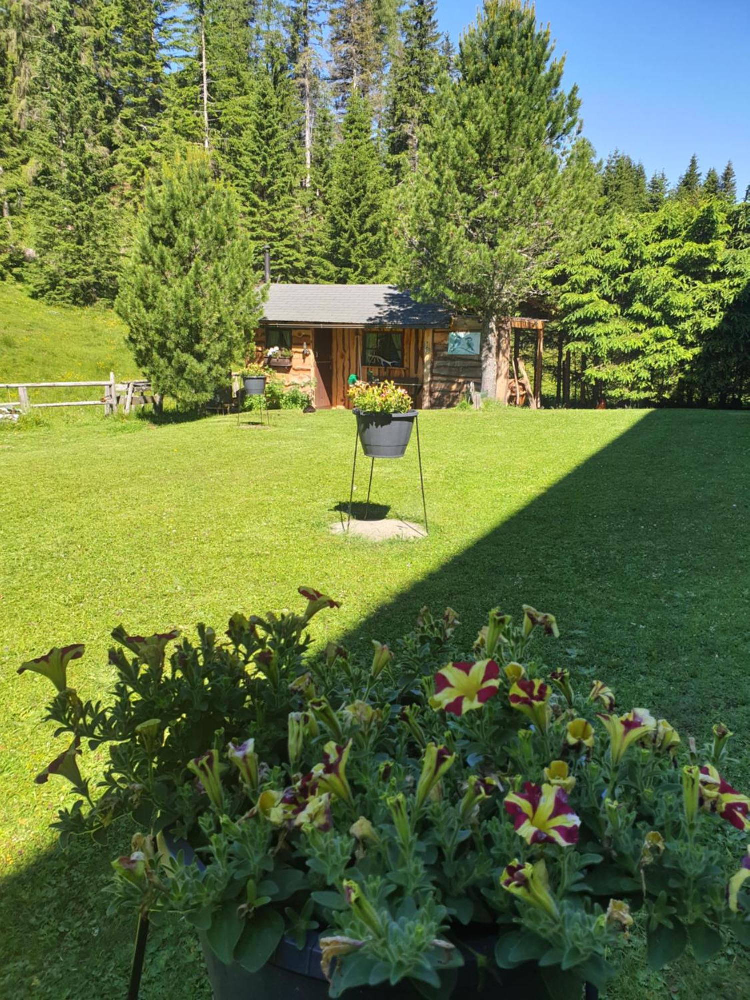 Ferienhaus Schaefer - Apartments - Wintersports - Family Holiday - Holiday With Your Dog - Rural & Scenic Flattnitz Εξωτερικό φωτογραφία