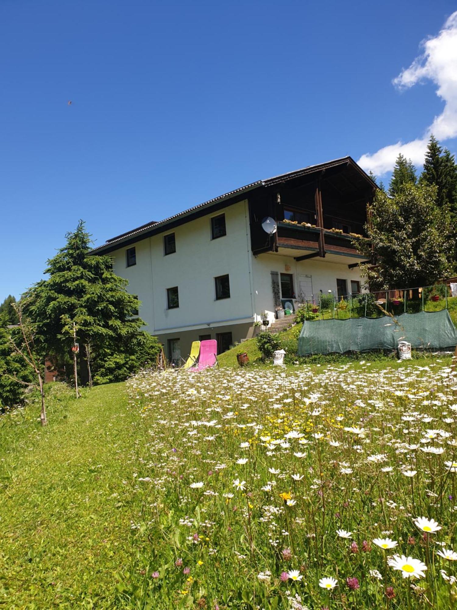 Ferienhaus Schaefer - Apartments - Wintersports - Family Holiday - Holiday With Your Dog - Rural & Scenic Flattnitz Εξωτερικό φωτογραφία