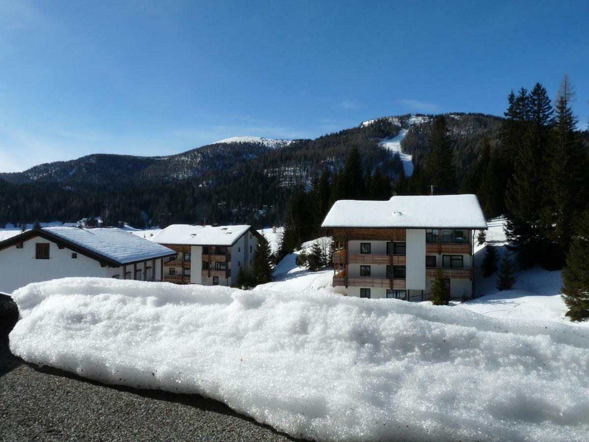 Ferienhaus Schaefer - Apartments - Wintersports - Family Holiday - Holiday With Your Dog - Rural & Scenic Flattnitz Εξωτερικό φωτογραφία
